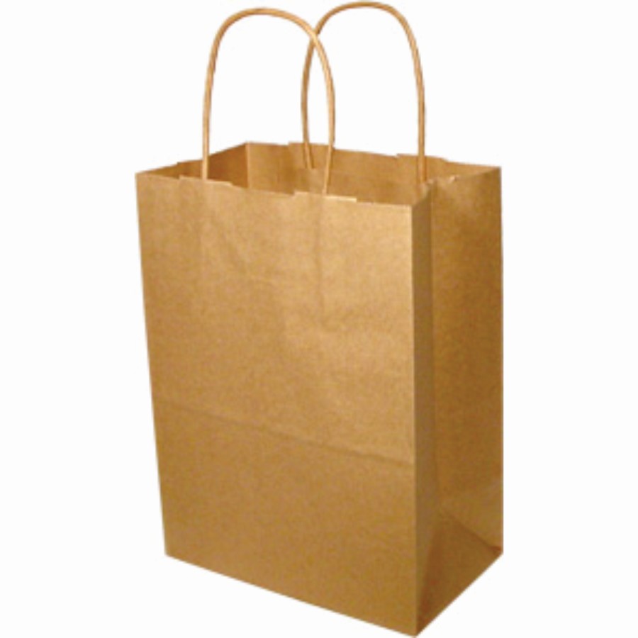 Paper Handle Bags (Tempo) - Kraft
